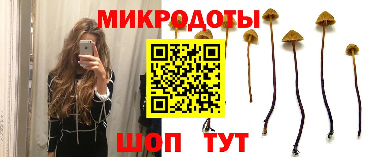 Красноармейск  закладка  Вход с VPN  Псилоцибиновые грибы ЛСД 